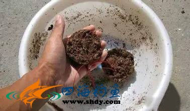 海竿草鱼爆炸钩饵料配方,海竿爆炸钩钓鲢鳙怎样配饵料