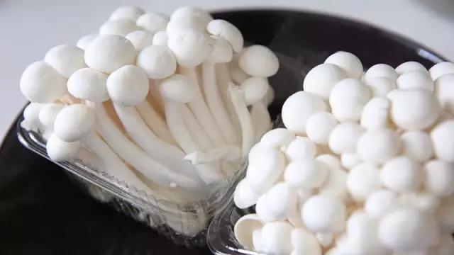 连云港特点辣卤海鲜,最好吃的海鲜辣卤