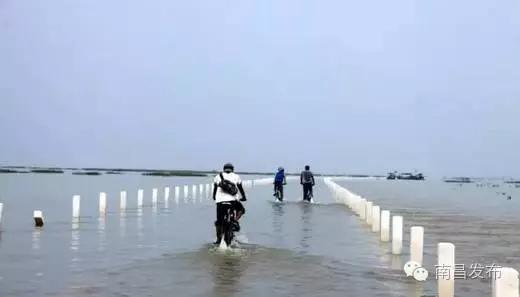 6月去江西旅游必去十大景点,八月江西旅游必去十大景点