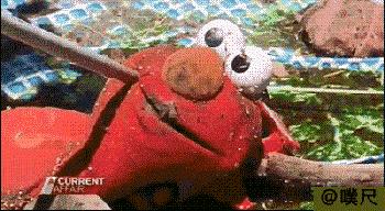 现在的前锋都弱爆了吗,现在的前锋还能玩吗