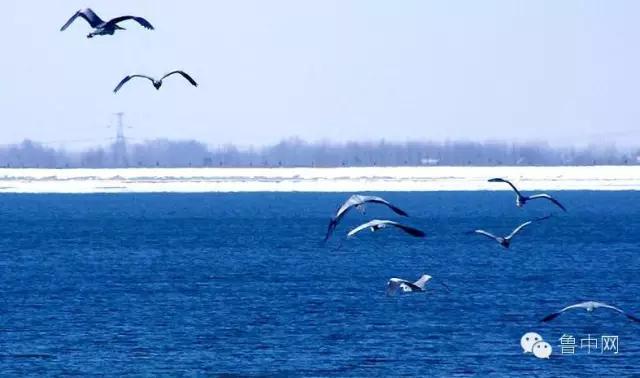 淄博！山东最冤的一个市！