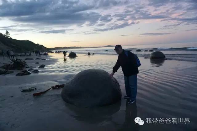 新西兰圆石图片,摩拉基大圆石龟背形成原因