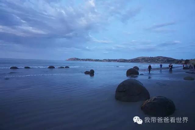 新西兰圆石图片,摩拉基大圆石龟背形成原因