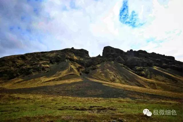 我在冰岛，带回一截漂亮的枯木