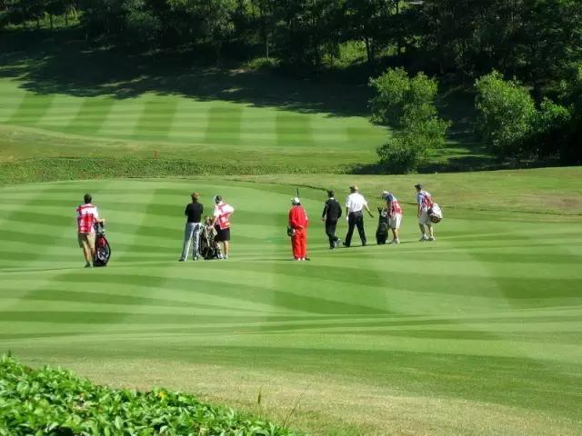 广东5a级景区免费开放,哪里的五a景区免门票