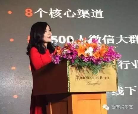 娱乐峰会,第十六届中韩政府交流研讨会