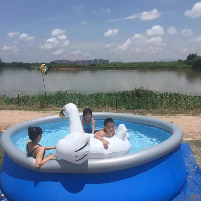 迎接父亲节：紫溪半岛的2000株紫薇花竞相绽放！限时免费欣赏