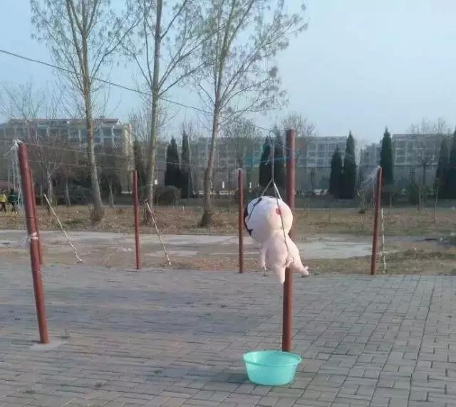 现在的前锋都弱爆了吗,现在的前锋还能玩吗