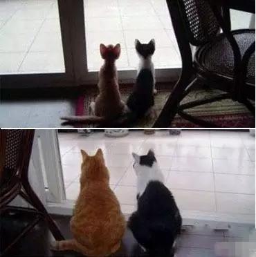 现在的前锋都弱爆了吗,现在的前锋还能玩吗