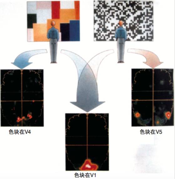 画面动感是怎样炼成的？｜科学读画