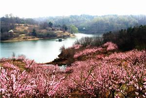 神马？舟山没去过，过来漫步吧