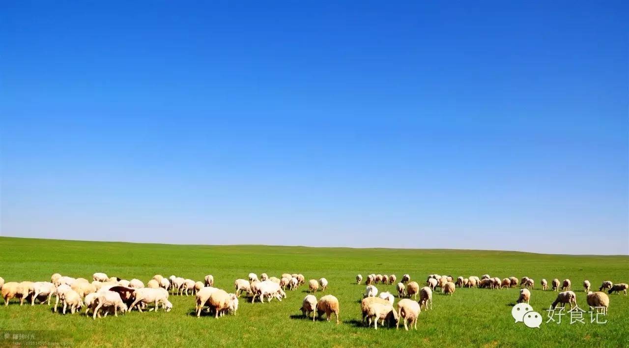 郑州特点村蒙古包,郑州道田蒙古包