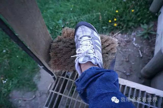 新西兰圆石图片,摩拉基大圆石龟背形成原因