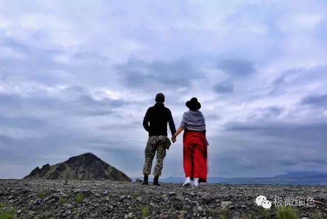 我在冰岛，带回一截漂亮的枯木