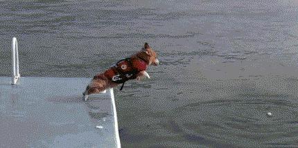 天辣么热想潜水？不注意这些细节，潜水后就要上医院了！