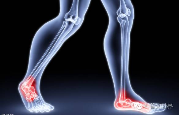 2022年冬季奥林匹克运动会常识,奥林匹克节日