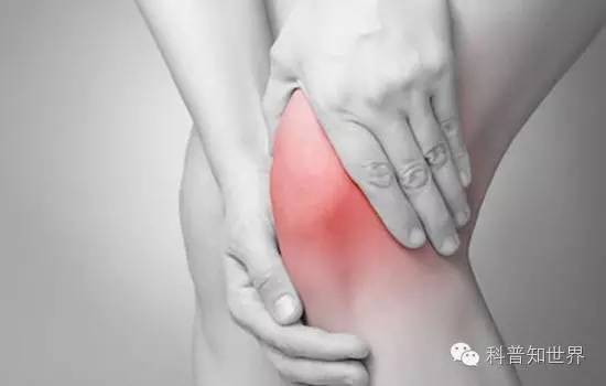 2022年冬季奥林匹克运动会常识,奥林匹克节日