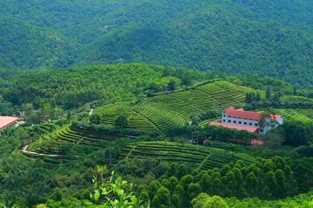 广东5a级景区免费开放,哪里的五a景区免门票