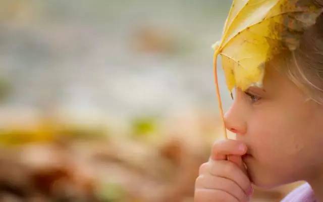 让孩子过早的做出选择,不要让孩子重复选择