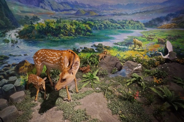 热海来腾冲必来的地方,腾冲热海景区自由行热门攻略