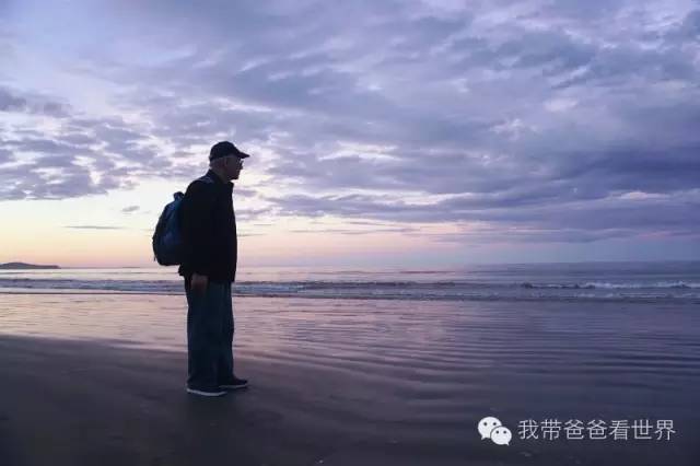 新西兰圆石图片,摩拉基大圆石龟背形成原因