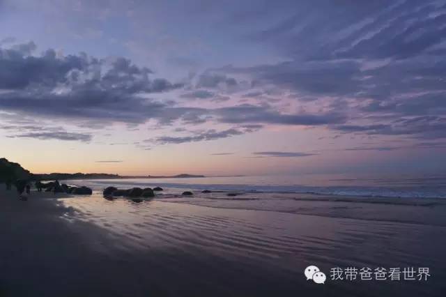 新西兰圆石图片,摩拉基大圆石龟背形成原因