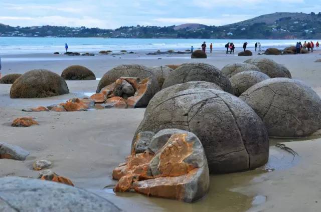新西兰圆石图片,摩拉基大圆石龟背形成原因