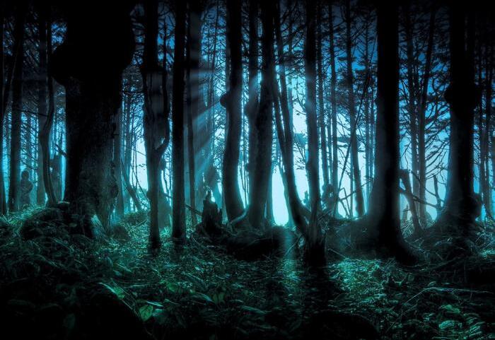 飘与时间姬第63话光辉落幕，回忆尽头