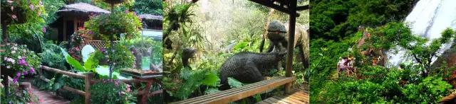 深圳小众游玩圣地,深圳一日游攻略最不值得去的地方