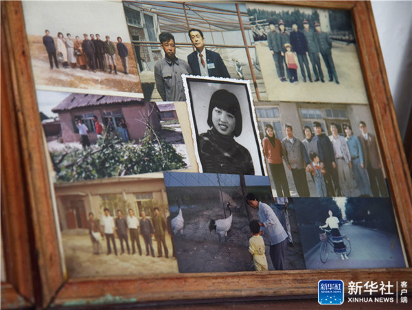 三代人与一群鹤的生死相守,一家人与一群鹤生活