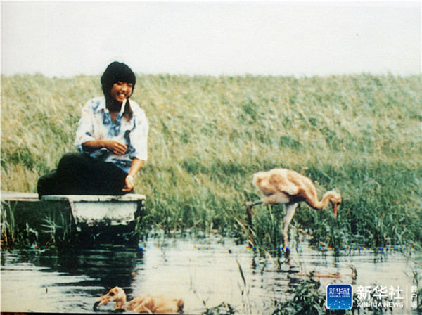 三代人与一群鹤的生死相守,一家人与一群鹤生活