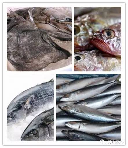 休渔期结束的海鲜市场物美价廉,休渔期海鲜市场价格表