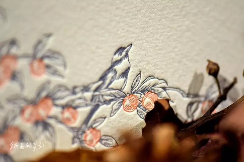 五年百款「纸品的美好」的日日夜夜