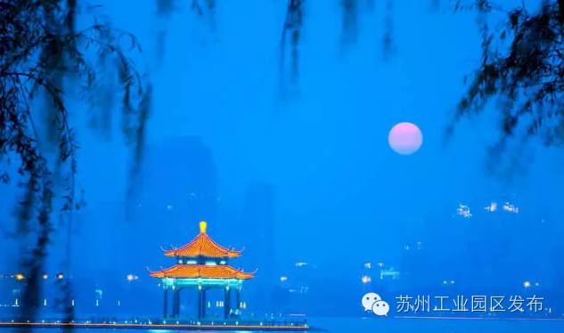 欧洲杯来咯,欧洲杯来了活动