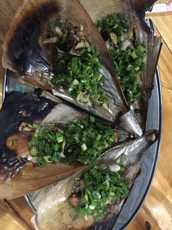 越南越美,自由行10天去越南旅游攻略