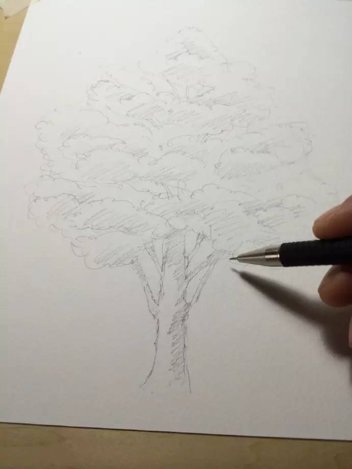 五年百款「纸品的美好」的日日夜夜