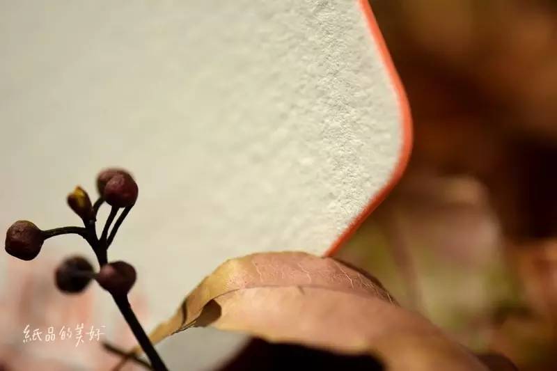 五年百款「纸品的美好」的日日夜夜