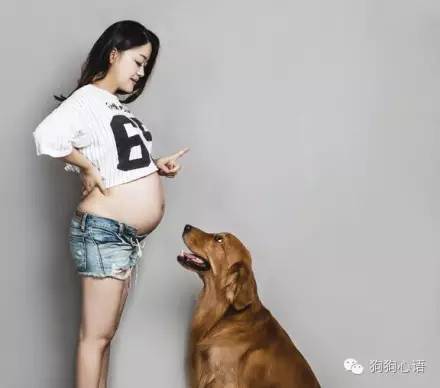 怀孕养狗真的会导致胎儿畸形么,怀孕期间家里养狗对宝宝有影响吗