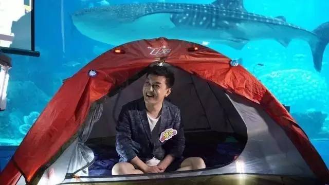 长隆欢乐世界父亲节,父亲节长隆野生动物园门票优惠