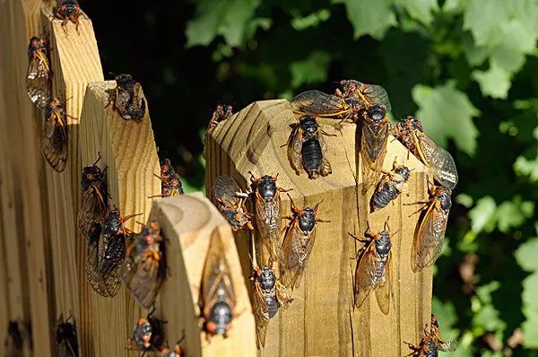 找到2到n中间的素数,怎么判断素数是不是素