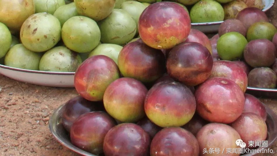 柬埔寨热带水果怎么挑选,柬埔寨哪几种水果好吃又便宜