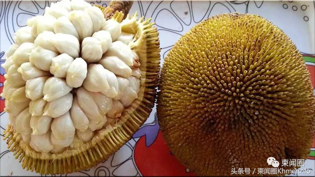 柬埔寨热带水果怎么挑选,柬埔寨哪几种水果好吃又便宜