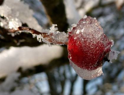 协和专家告诉你常见食物该怎么吃,来自营养专家的饮食建议