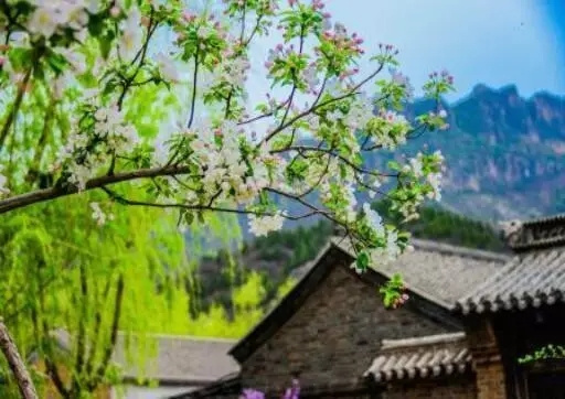 隐藏在大山里的古北水镇,古北水镇是一个美丽而宁静的地方