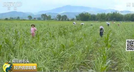 云南陨石一克2000元,云南陨石一斤多少钱