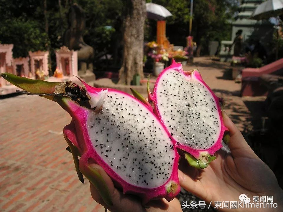 柬埔寨热带水果怎么挑选,柬埔寨哪几种水果好吃又便宜