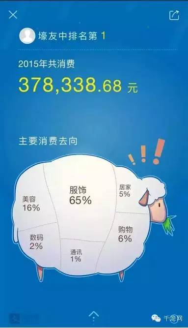 2015支付宝账单北京全国第三，黄焖鸡米饭竟成“国民料理”！