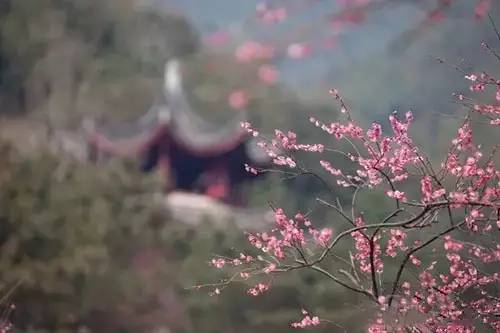 鍖椾粦娓哥帺鏅偣鏀荤暐璺嚎,鍖椾粦鍐ぉ閫傚悎鍘诲摢閲岀帺