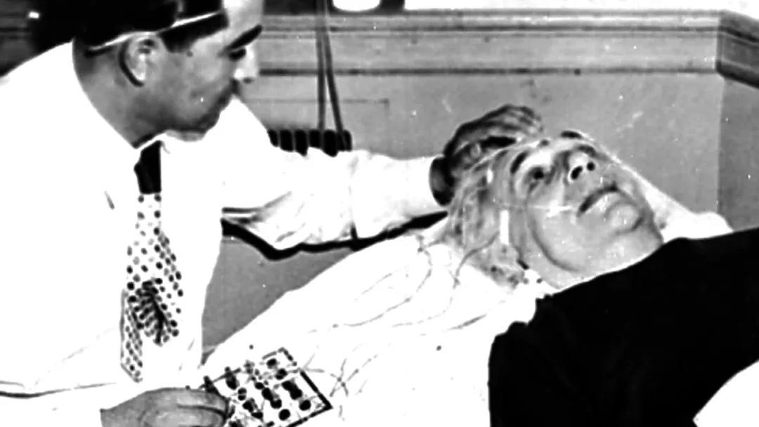 爱因斯坦的大脑解剖完整版,爱因斯坦的大脑歌曲