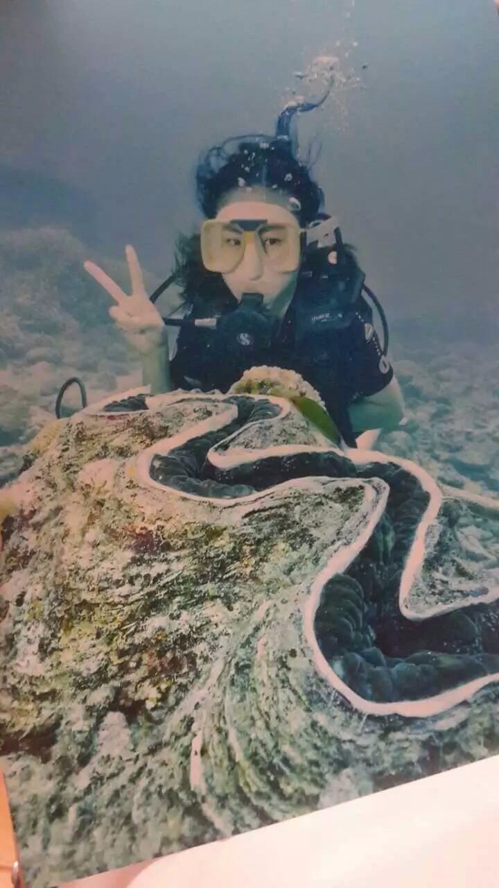 澳大利亚昆士兰州自由行攻略,澳洲三个月之旅